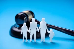 Can Edmonton Lawyers Represent Family Members