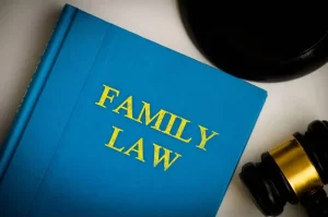 Are Family Lawyers Expensive in Edmonton